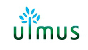 ulmus investment